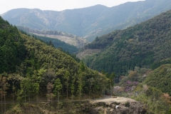 japan copyright piotr nogal 111