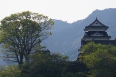 japan copyright piotr nogal 131