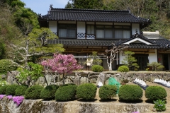 japan copyright piotr nogal 179