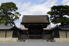 japan copyright piotr nogal 192