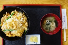 japan copyright piotr nogal 198