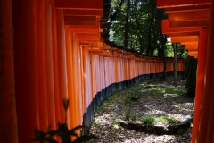 japan copyright piotr nogal 201