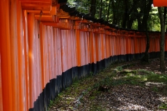 japan copyright piotr nogal 202