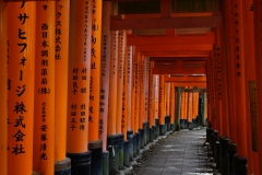 japan copyright piotr nogal 204