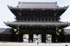japan copyright piotr nogal 208