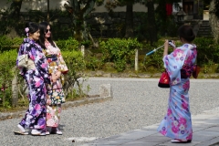 japan copyright piotr nogal 214