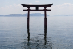 japan copyright piotr nogal 217