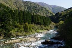 japan copyright piotr nogal 234