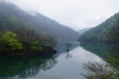 japan copyright piotr nogal 251
