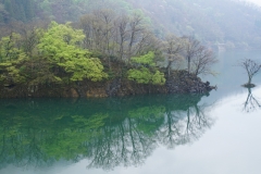 japan copyright piotr nogal 253