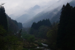 japan copyright piotr nogal 254