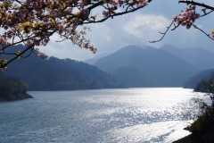 japan copyright piotr nogal 257
