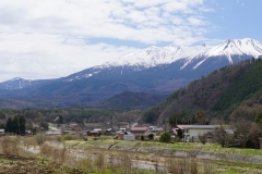 japan copyright piotr nogal 293