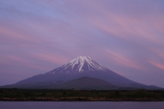 japan copyright piotr nogal 322