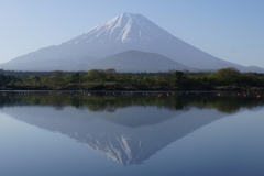 japan copyright piotr nogal 324