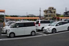 japan copyright piotr nogal 335
