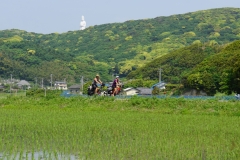 japan copyright piotr nogal 356
