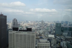 japan copyright piotr nogal 373