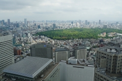 japan copyright piotr nogal 374