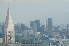 japan copyright piotr nogal 375