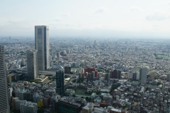 japan copyright piotr nogal 376