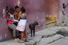 020-Cuba-copyright-piotr-nogal