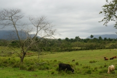 064-Cuba-copyright-piotr-nogal