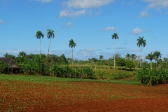 074-Cuba-copyright-piotr-nogal