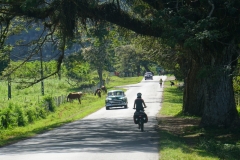 081-Cuba-copyright-piotr-nogal