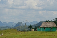 096-Cuba-copyright-piotr-nogal