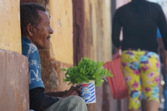 114-Cuba-copyright-piotr-nogal