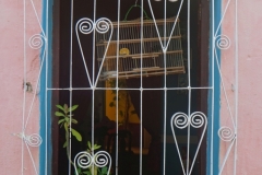 125-Cuba-copyright-piotr-nogal 125-Cuba-copyright-piotr-nogal