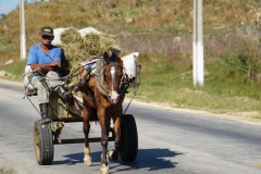 217-Cuba-copyright-piotr-nogal 217-Cuba-copyright-piotr-nogal