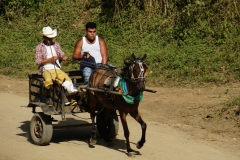 262-Cuba-copyright-piotr-nogal 262-Cuba-copyright-piotr-nogal