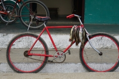 281-Cuba-copyright-piotr-nogal 281-Cuba-copyright-piotr-nogal