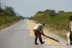 318-Cuba-copyright-piotr-nogal