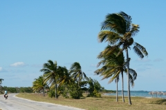 331-Cuba-copyright-piotr-nogal