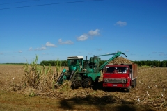 345-Cuba-copyright-piotr-nogal
