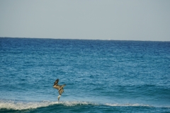 364-Cuba-copyright-piotr-nogal