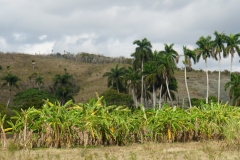 401-Cuba-copyright-piotr-nogal