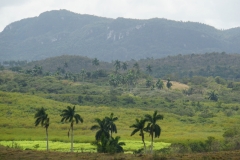 408-Cuba-copyright-piotr-nogal