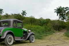 412-Cuba-copyright-piotr-nogal