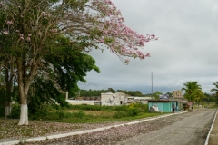 423-Cuba-copyright-piotr-nogal