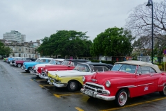439-Cuba-copyright-piotr-nogal