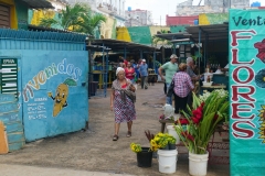 507-Cuba-copyright-piotr-nogal