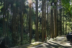 007 honshu und kyushu copyright piotr nogal