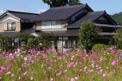 012 honshu und kyushu copyright piotr nogal