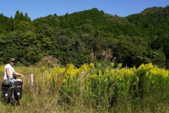 013 honshu und kyushu copyright piotr nogal