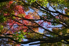 015 honshu und kyushu copyright piotr nogal