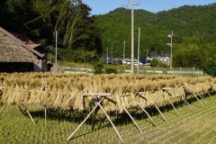 019 honshu und kyushu copyright piotr nogal